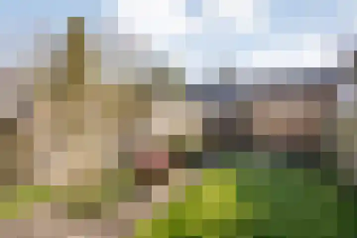 Kempenland 8 Purmerend thumbnail 5