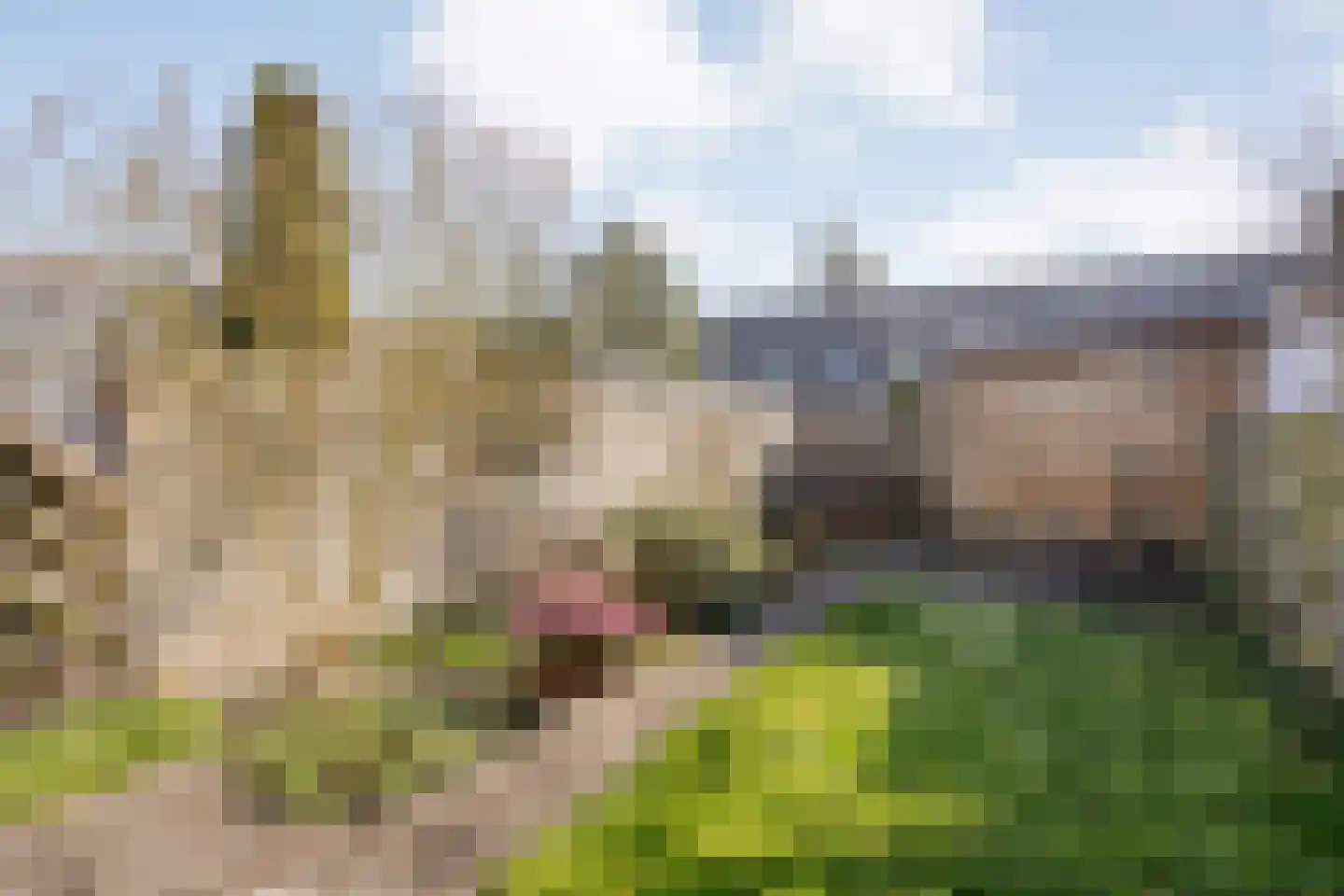 Kempenland 8 Purmerend thumbnail 5