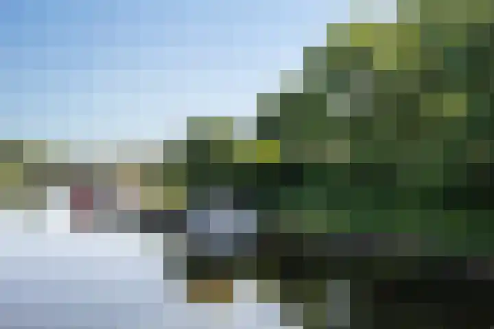 Kempenlandstraat 16 's-Hertogenbosch thumbnail 34