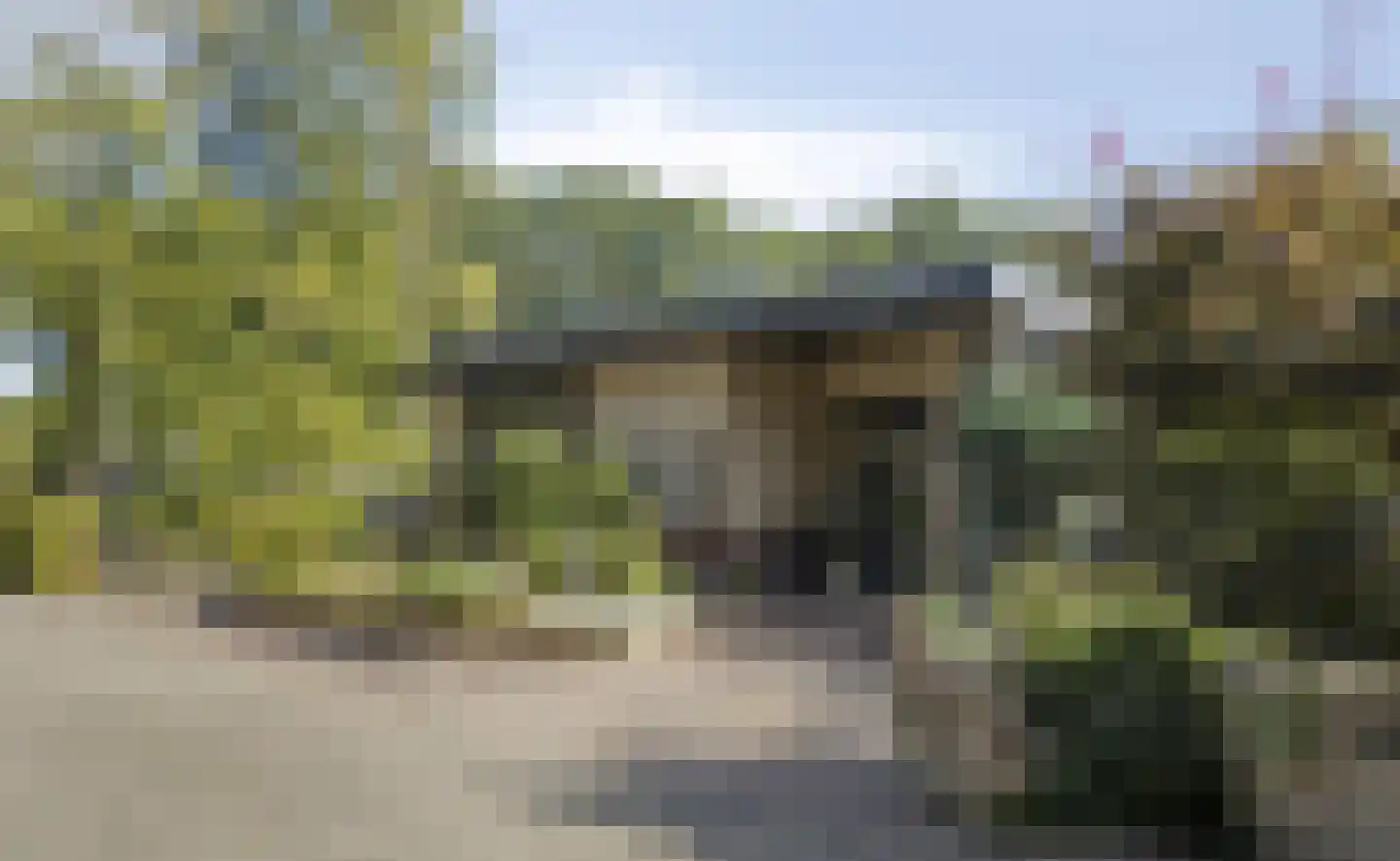 Kempensbos 9 Sint Anthonis thumbnail 8