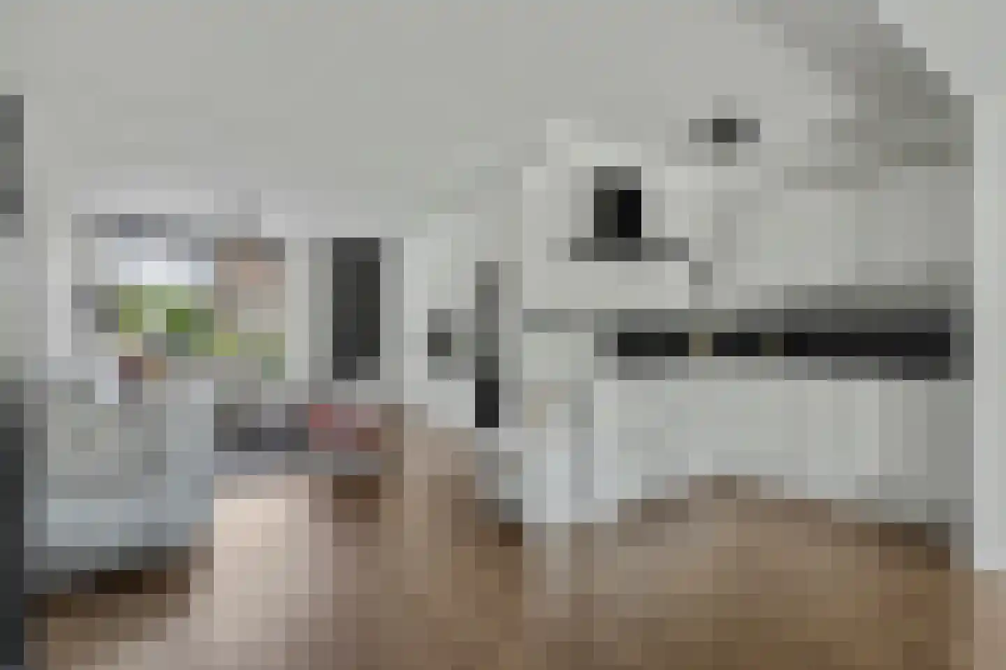 Kempensdam 29 Rilland thumbnail 16