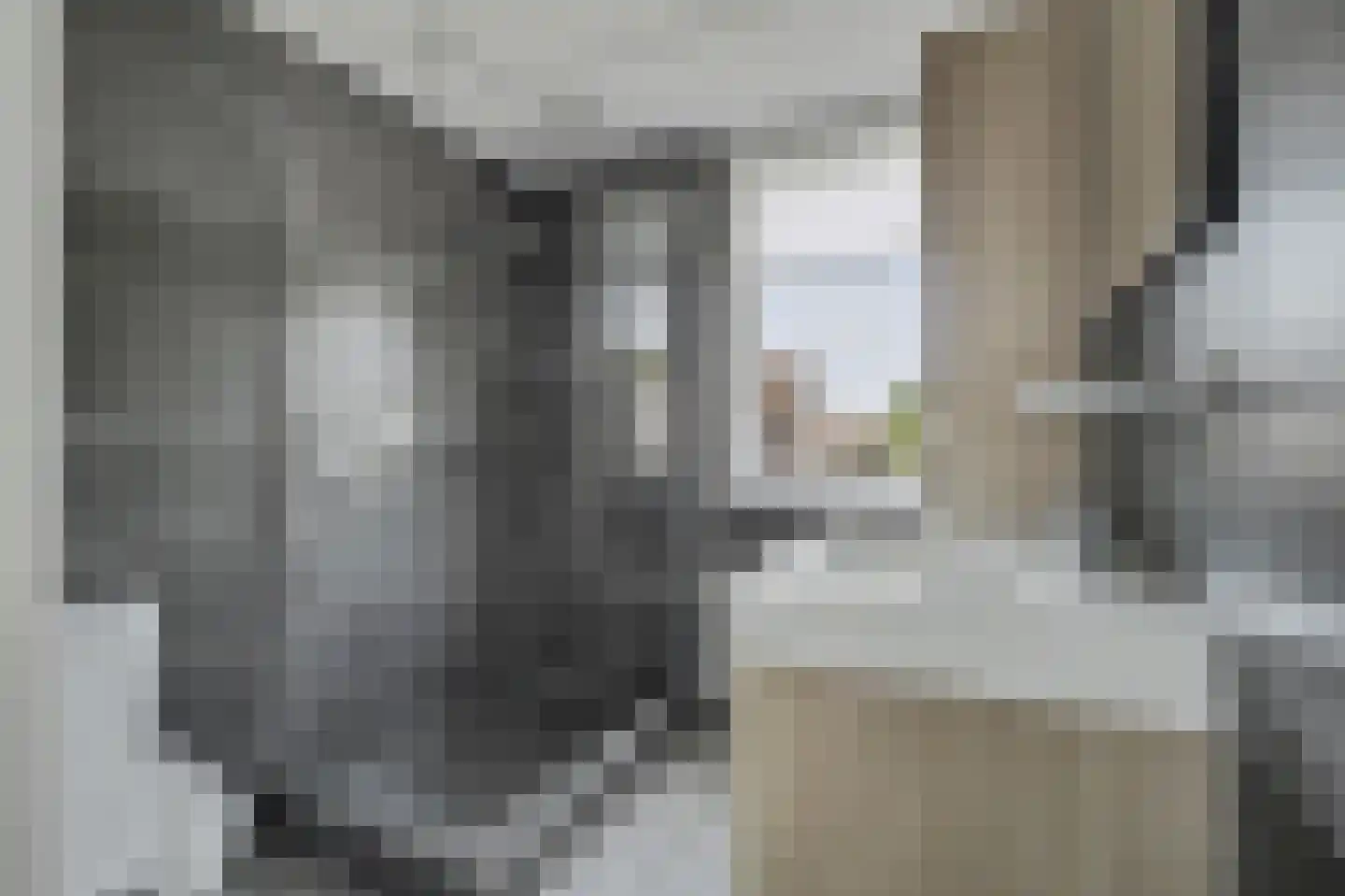 Kempensdam 29 Rilland thumbnail 25
