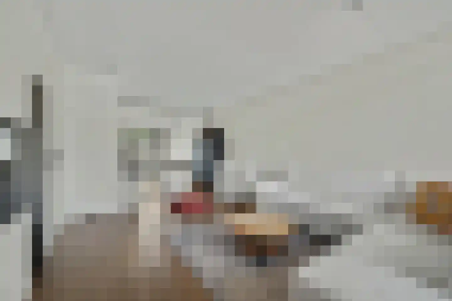 Kempensdam 29 Rilland thumbnail 9