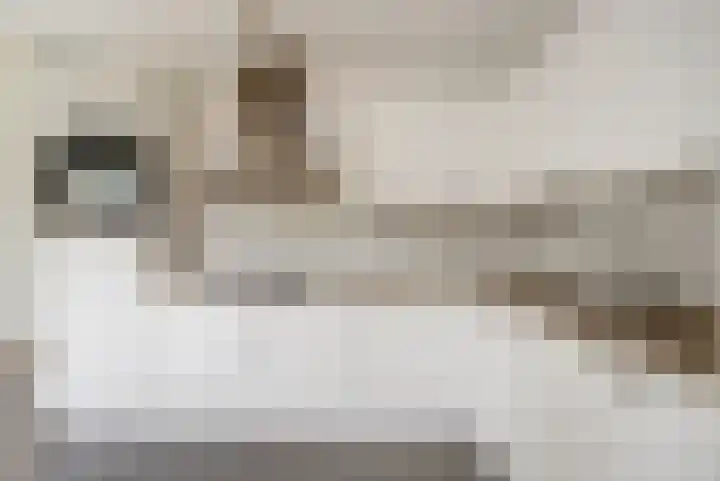 Kempensdam 3 Rilland thumbnail 10