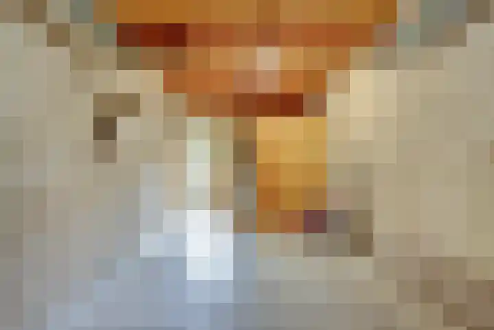 Kempensdam 3 Rilland thumbnail 15