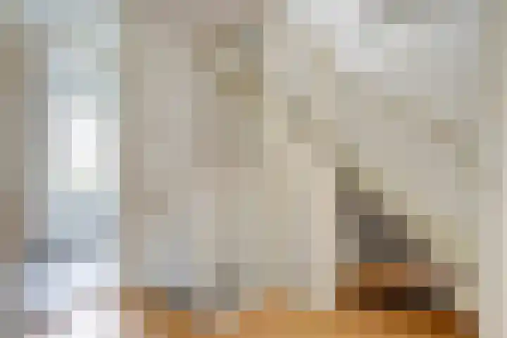 Kempensdam 3 Rilland thumbnail 17