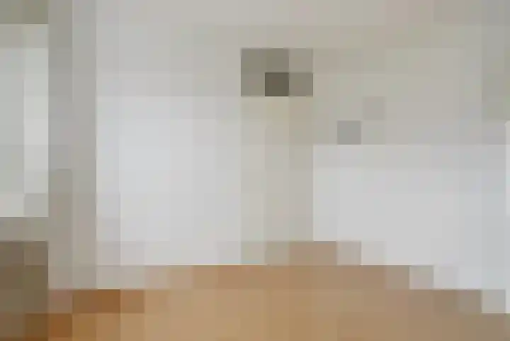 Kempensdam 3 Rilland thumbnail 19