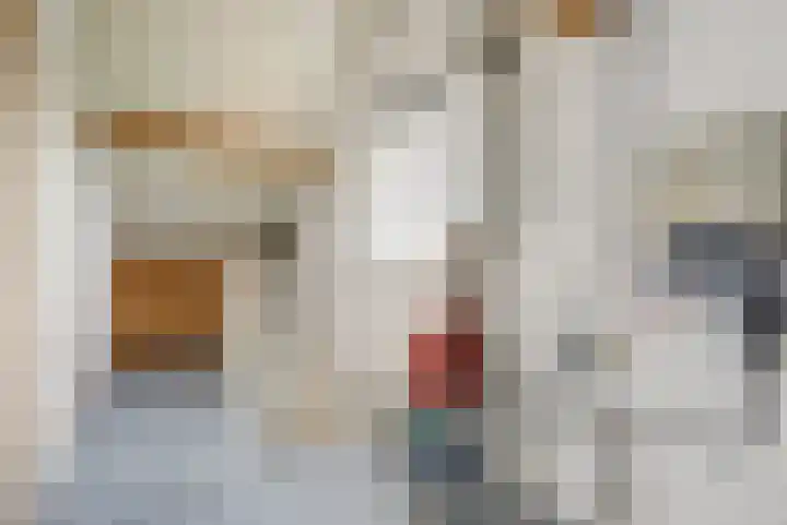 Kempensdam 3 Rilland thumbnail 27