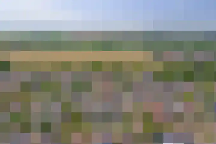 Kempensdam 3 Rilland thumbnail 34