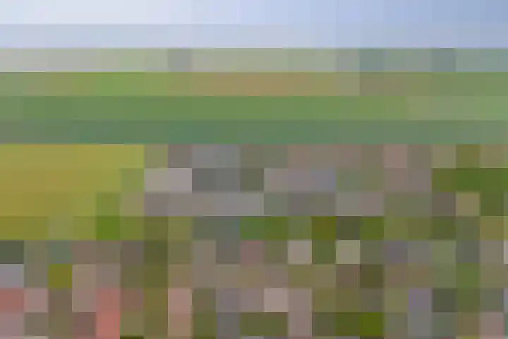 Kempensdam 3 Rilland thumbnail 35