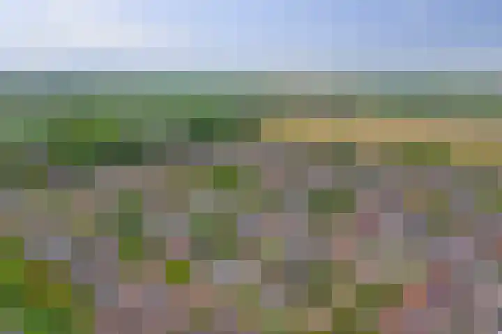 Kempensdam 3 Rilland thumbnail 36