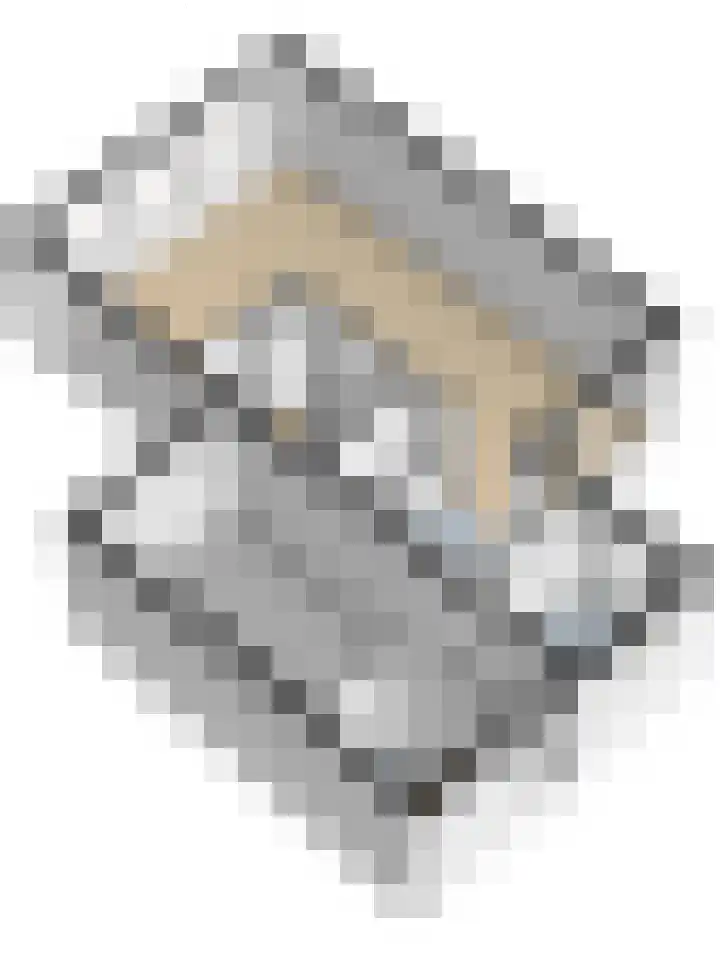 Kempensdam 3 Rilland thumbnail 43