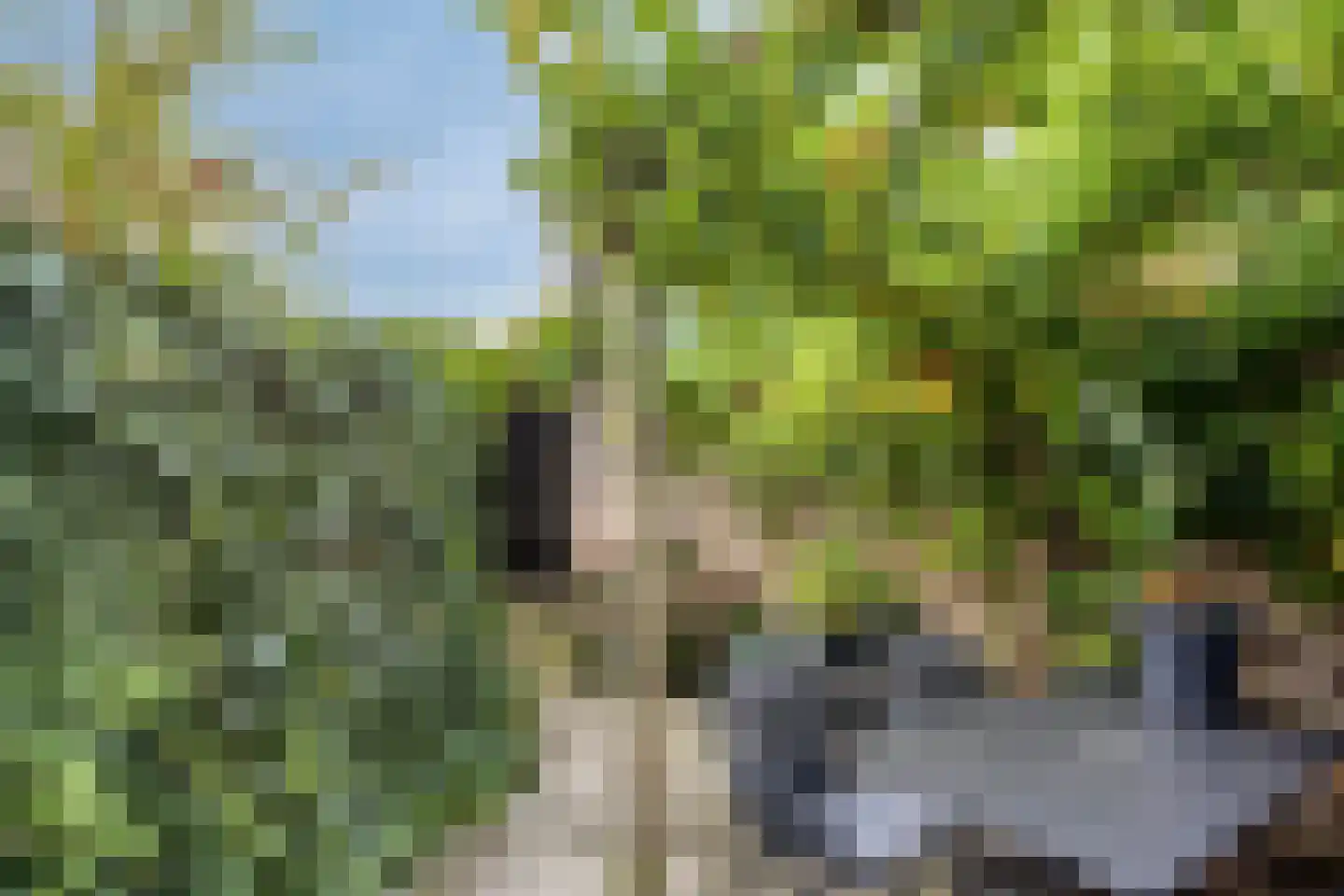 Kempensebaan 101 Eindhoven thumbnail 28