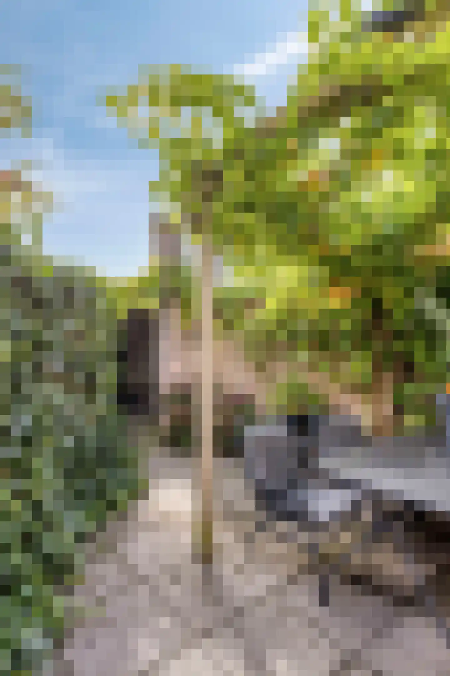 Kempensebaan 101 Eindhoven thumbnail 31
