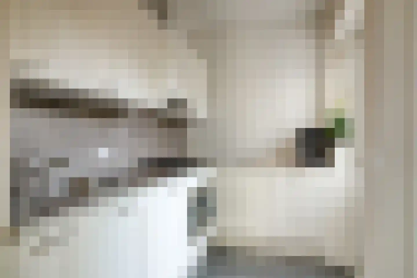 Kempensebaan 76 Eindhoven thumbnail 14