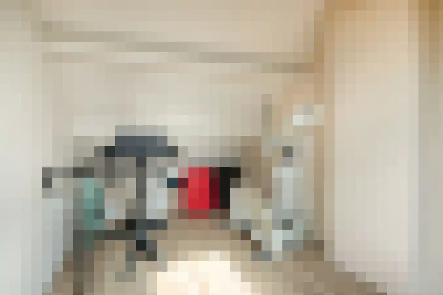 Kempensebaan 76 Eindhoven thumbnail 25