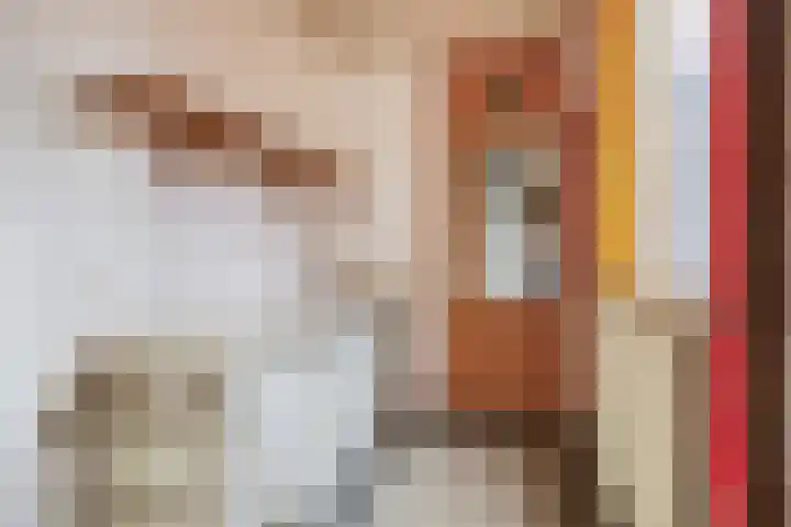 Kempensebaan 93 Eindhoven thumbnail 17
