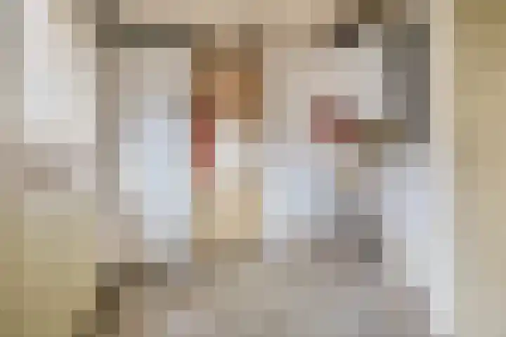 Kempensebaan 93 Eindhoven thumbnail 18