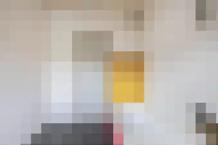Kempensebaan 93 Eindhoven thumbnail 26