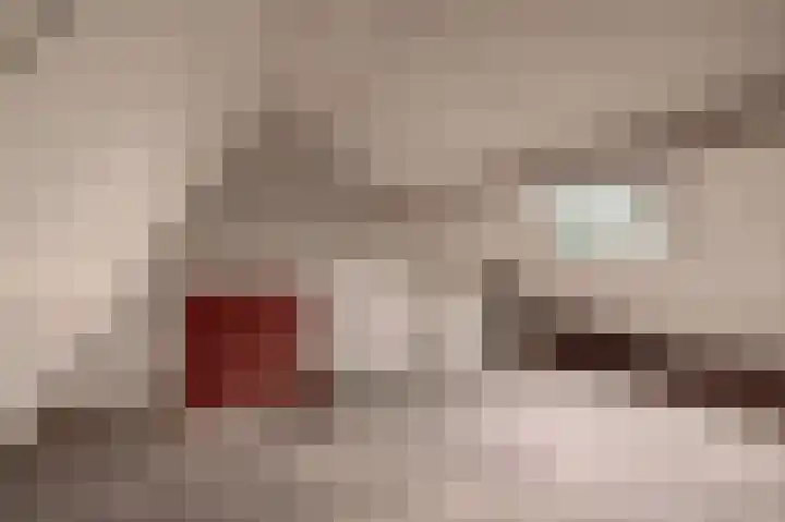 Kempensebaan 93 Eindhoven thumbnail 27