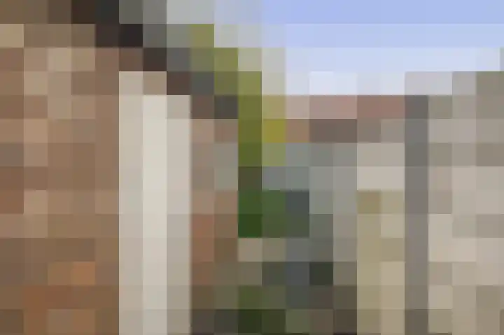 Kempensebaan 93 Eindhoven thumbnail 31