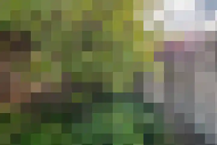 Kempensebaan 93 Eindhoven thumbnail 33