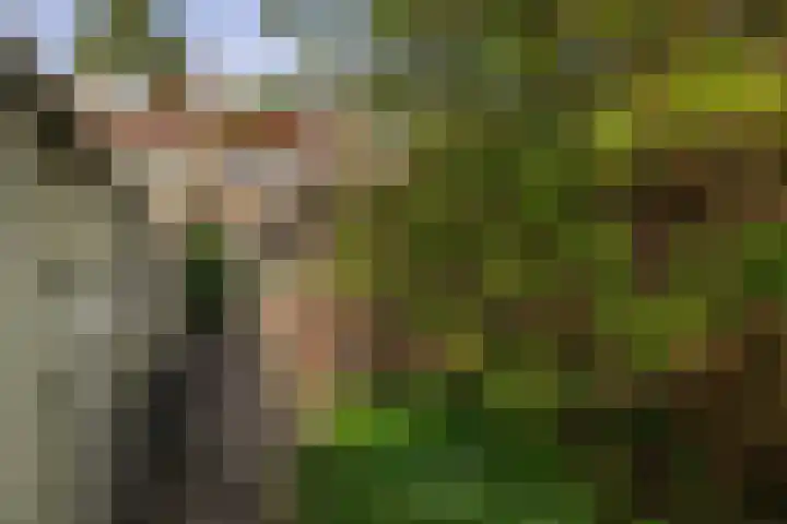 Kempensebaan 93 Eindhoven thumbnail 34