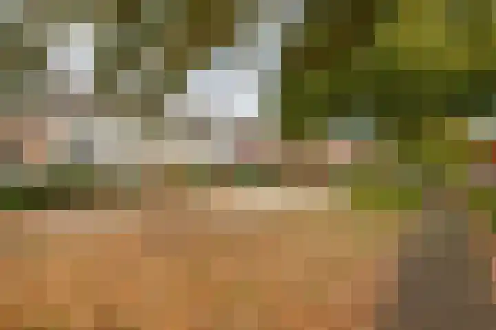 Kempensebaan 93 Eindhoven thumbnail 38