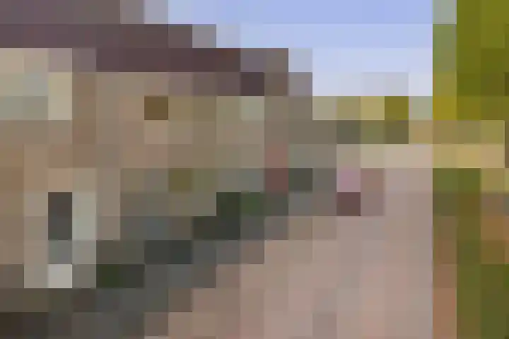 Kempensebaan 93 Eindhoven thumbnail 9