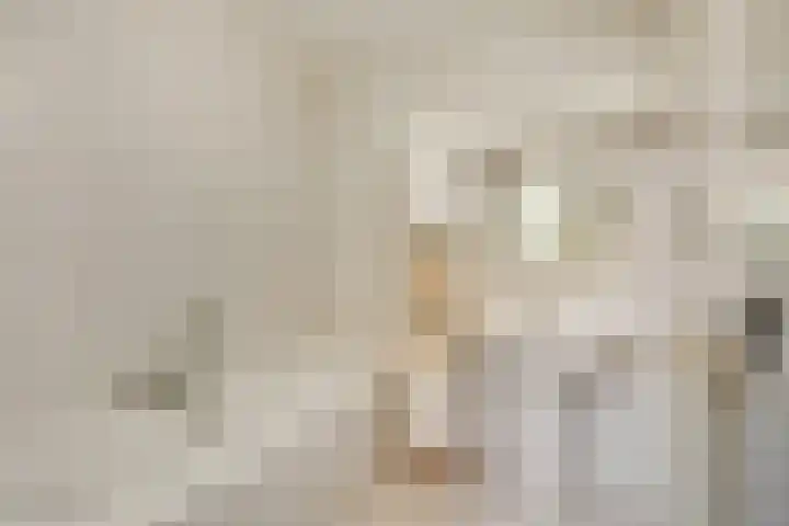 Kempenstraat 3 Borne thumbnail 12
