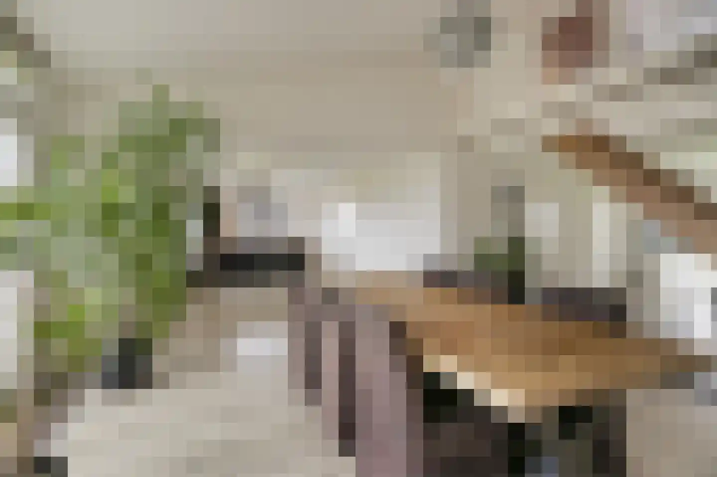 Kempenstraat 3 Borne thumbnail 28