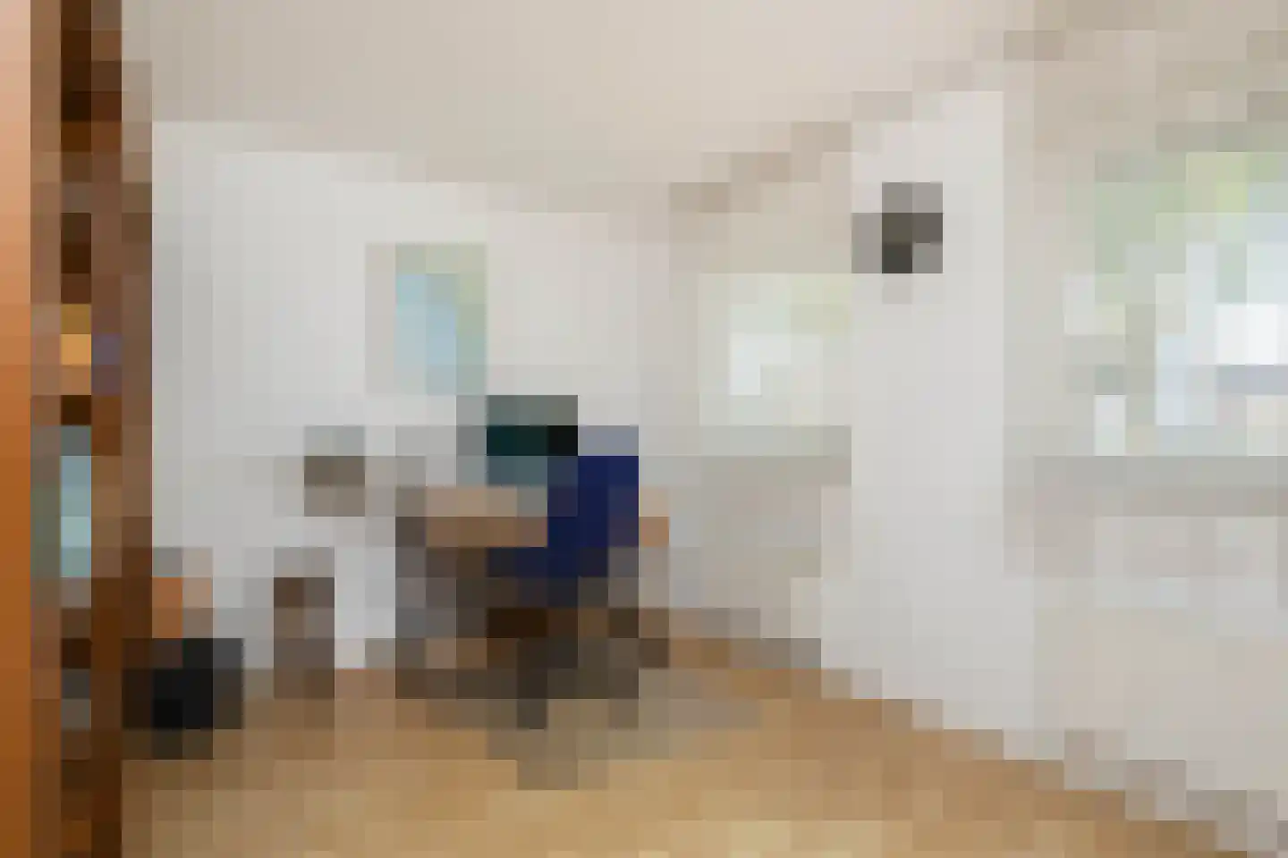 Kempenstraat 5 Sittard thumbnail 31