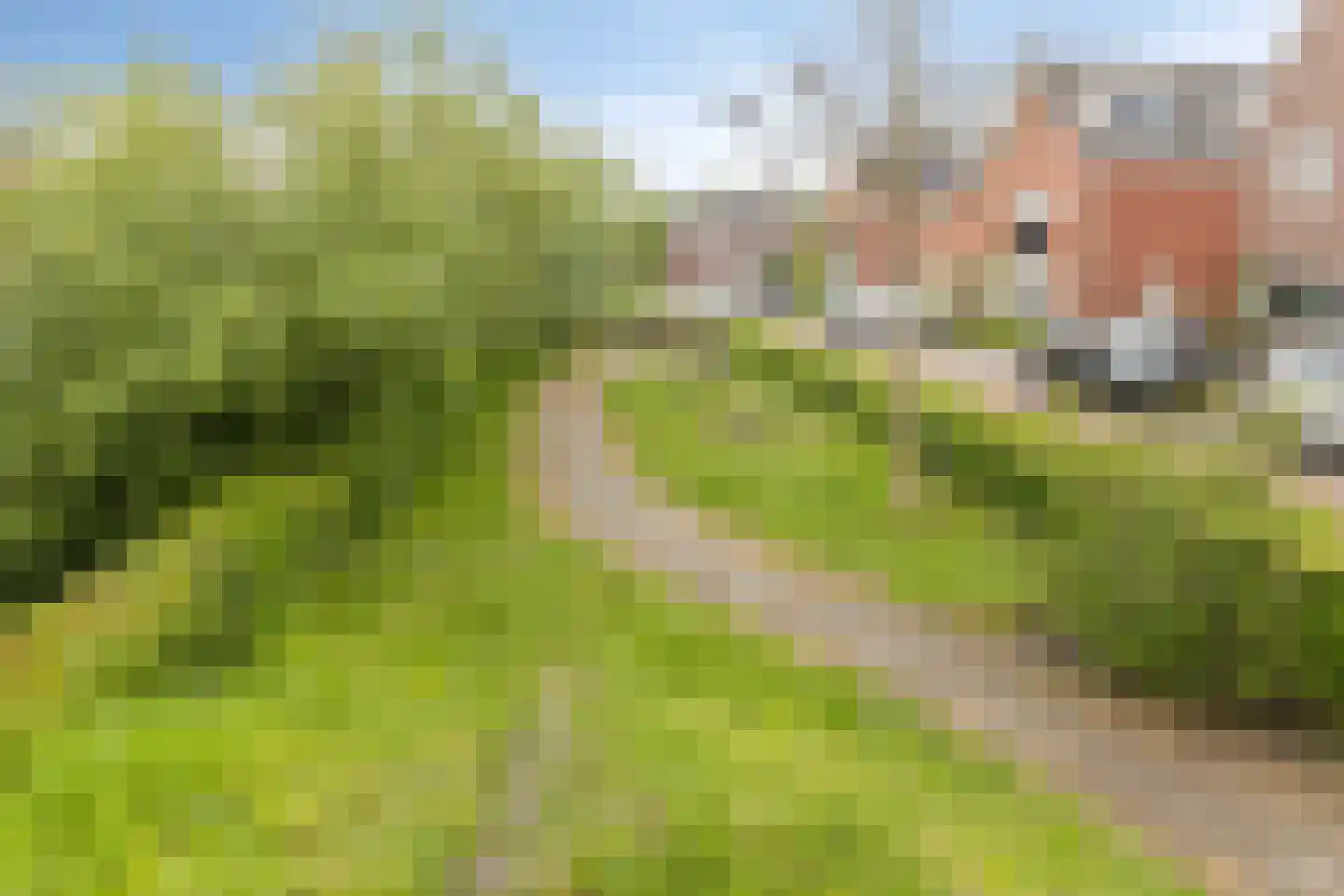 Kempenstraat 8 Chaam thumbnail 24