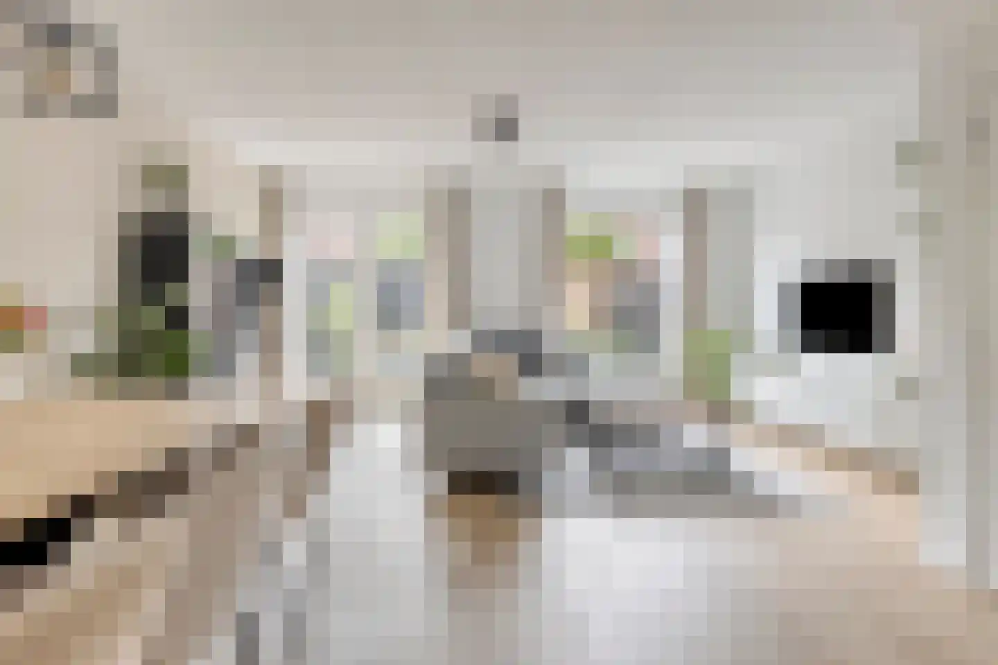 Kempenstraat 8 Chaam thumbnail 6