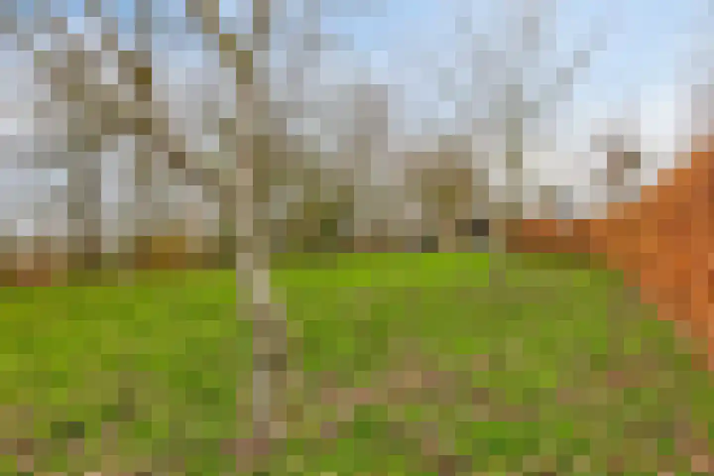 Kempensweg 5 Nieuwerkerk thumbnail 49