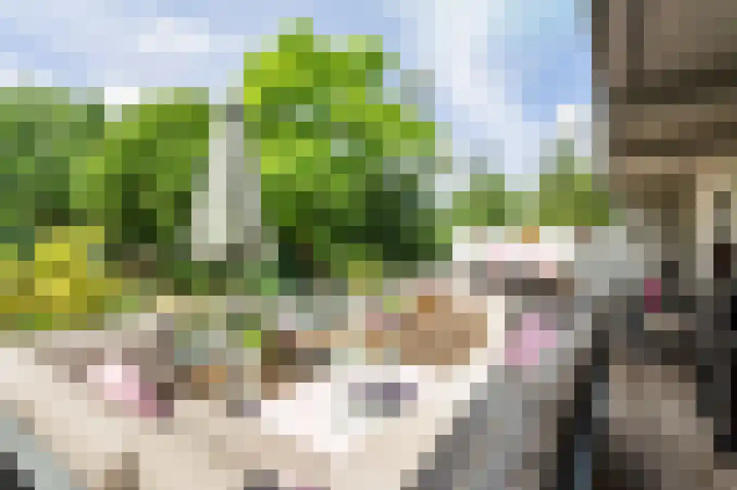 Kempenweg 4 Weert thumbnail 18
