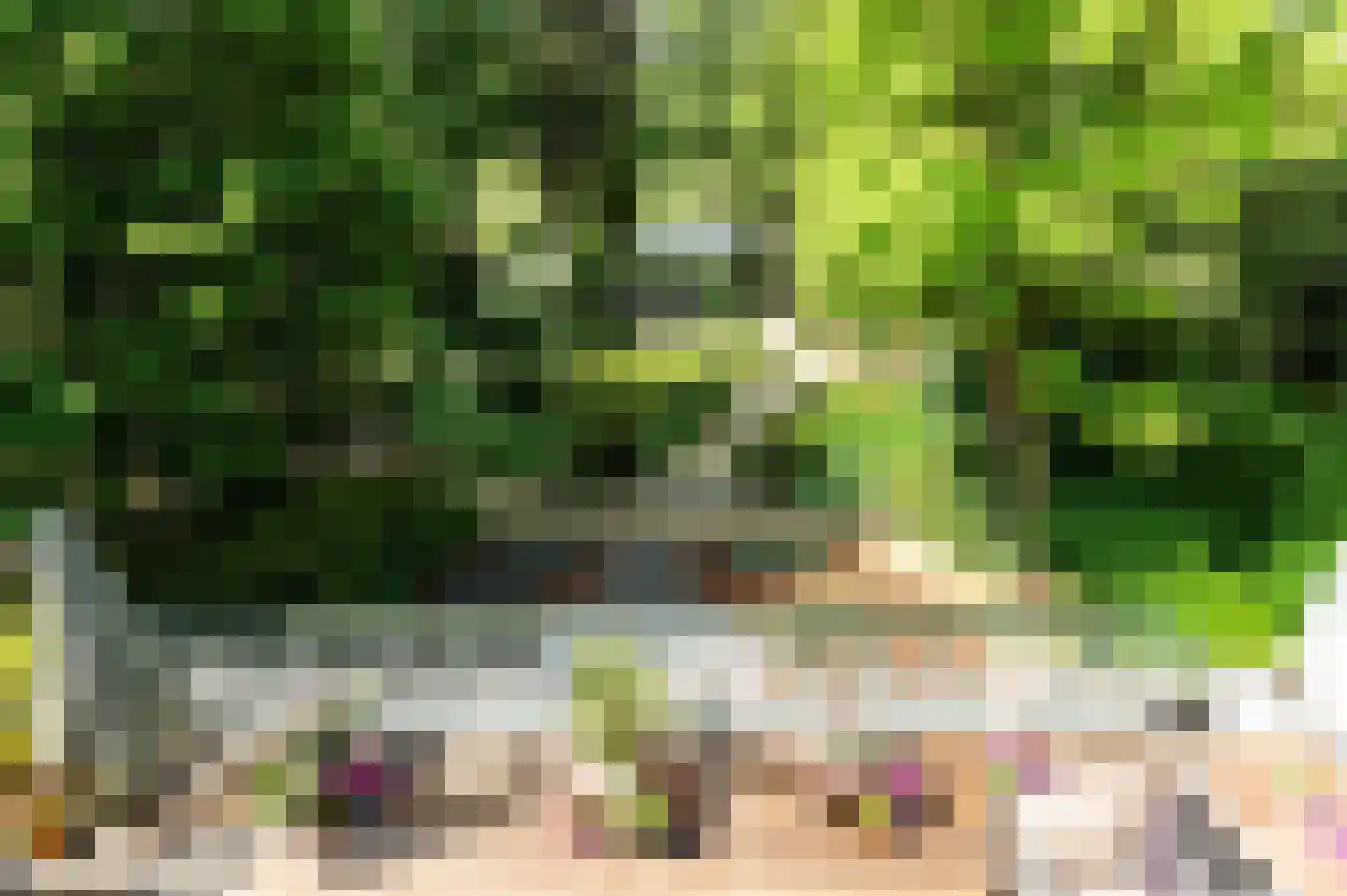 Kempenweg 4 Weert thumbnail 20