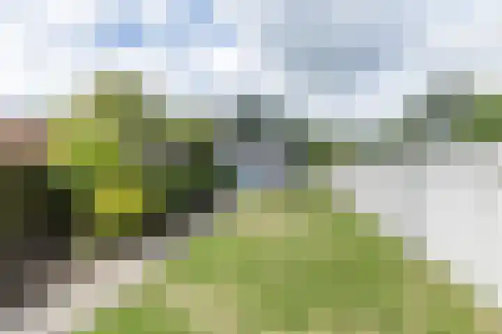Kempenweg 67 Obbicht thumbnail 36