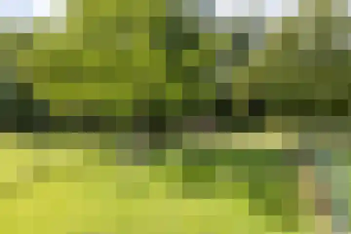 Kempenweg 67 Obbicht thumbnail 37