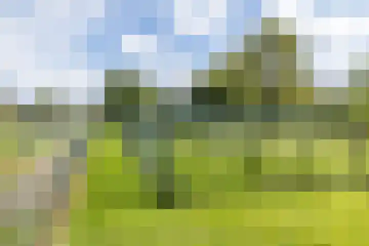 Kempenweg 67 Obbicht thumbnail 38