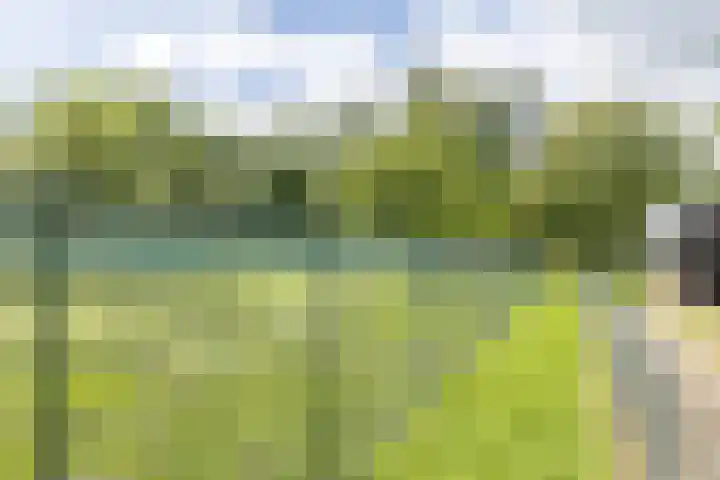 Kempenweg 67 Obbicht thumbnail 39