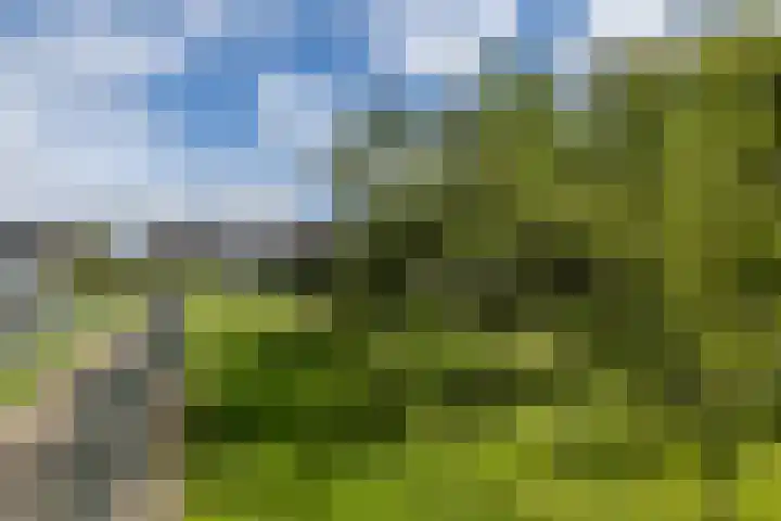 Kempenweg 67 Obbicht thumbnail 4