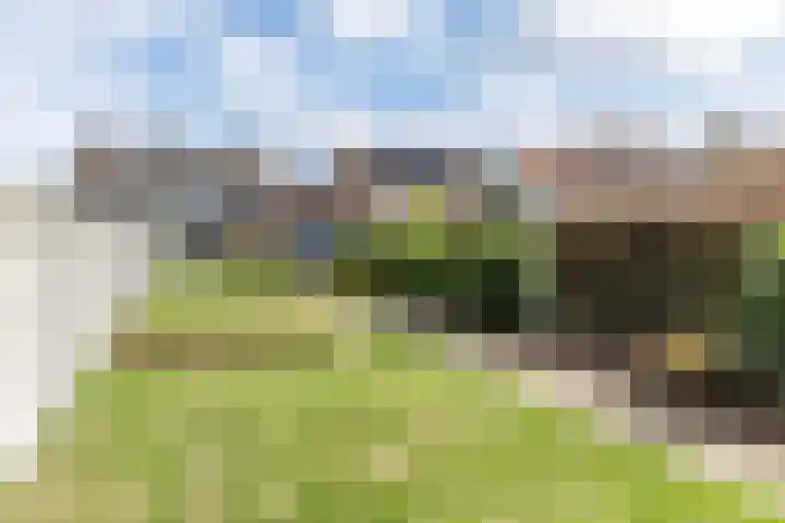 Kempenweg 67 Obbicht thumbnail 41