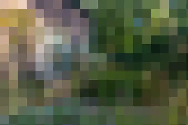 Kemperbergerweg 157 Arnhem thumbnail 32