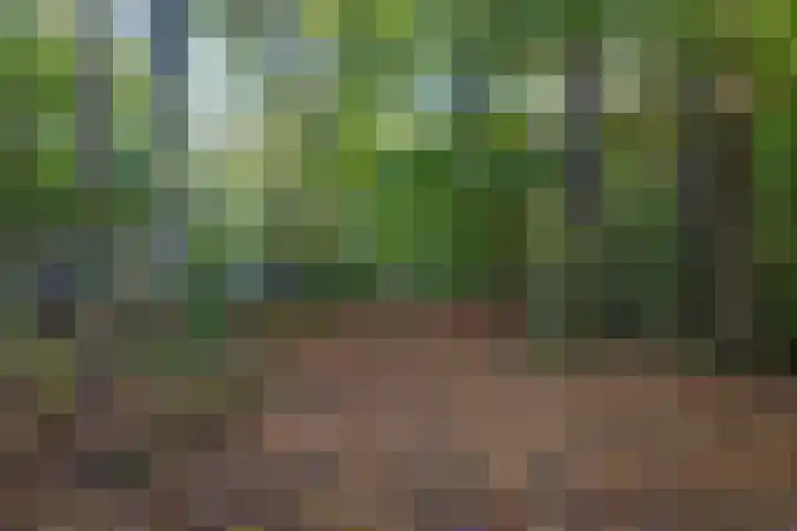 Kemperbergerweg 157 Arnhem thumbnail 41