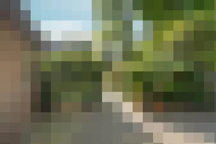 Kemperbergerweg 195 Arnhem thumbnail 35