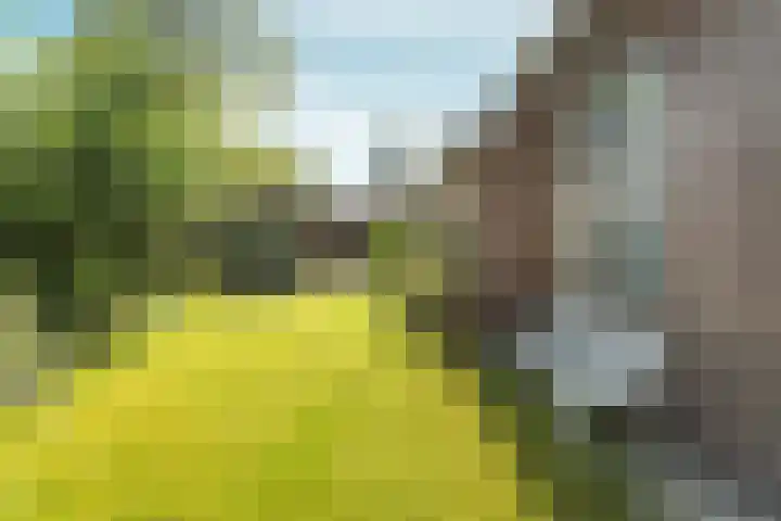 Kemperbergerweg 195 Arnhem thumbnail 41