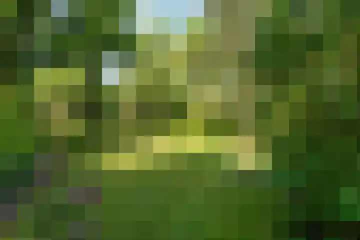Kemperbergerweg 195 Arnhem thumbnail 42