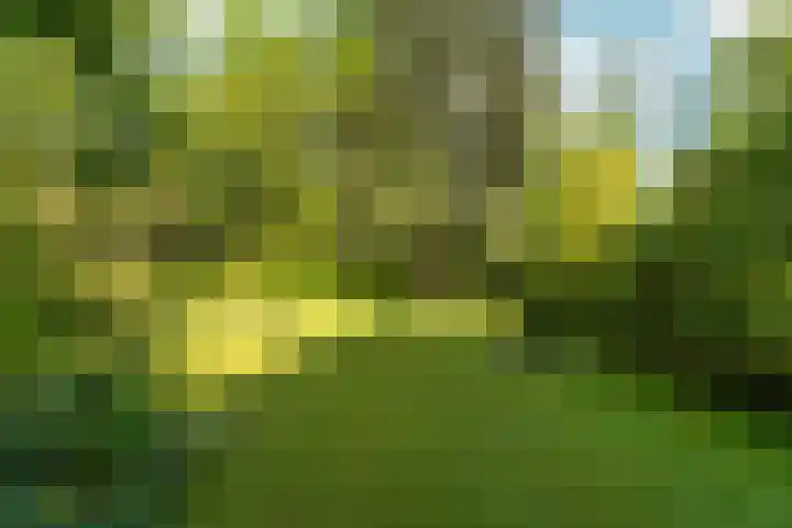 Kemperbergerweg 195 Arnhem thumbnail 43