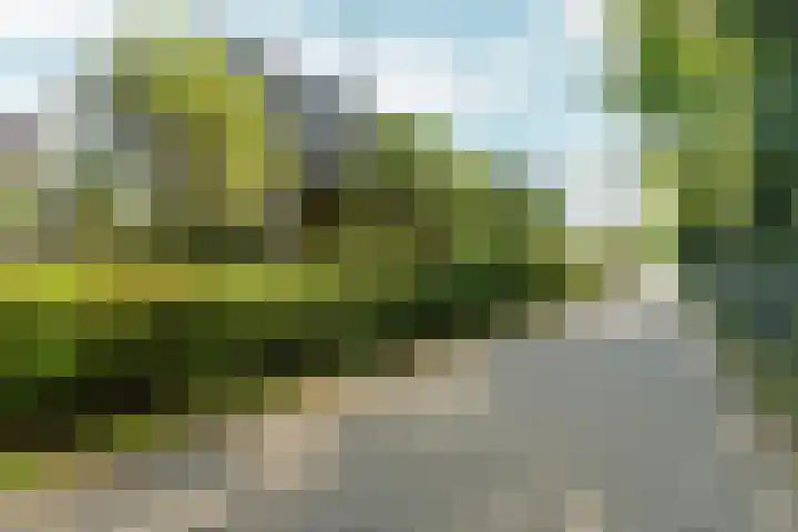 Kemperbergerweg 195 Arnhem thumbnail 44